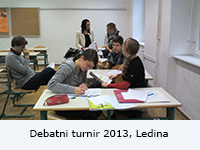 debatni-ledina