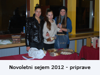 novoletni12