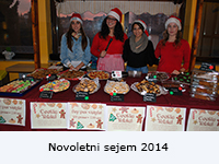 novoletni14